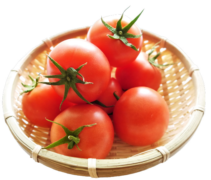 カゴ盛りのトマトの写真
