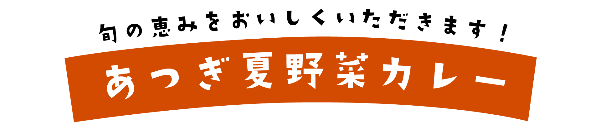 旬の恵みをおいしくいただきます！あつぎ夏野菜カレー