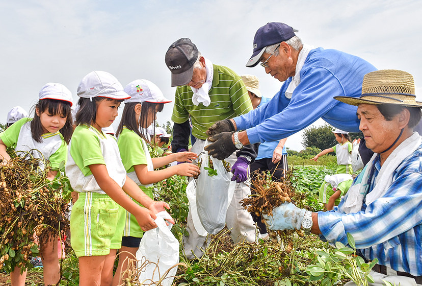 台所で野菜を洗う女の子の写真