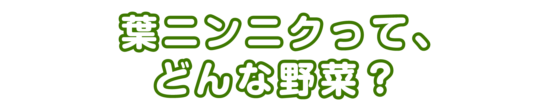 葉ニンニクって、どんな野菜？