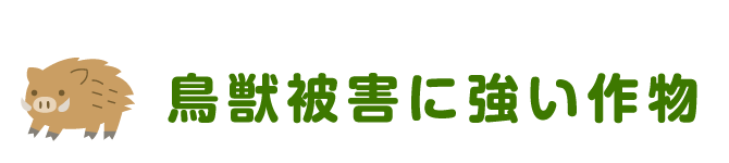 鳥獣被害に強い作物