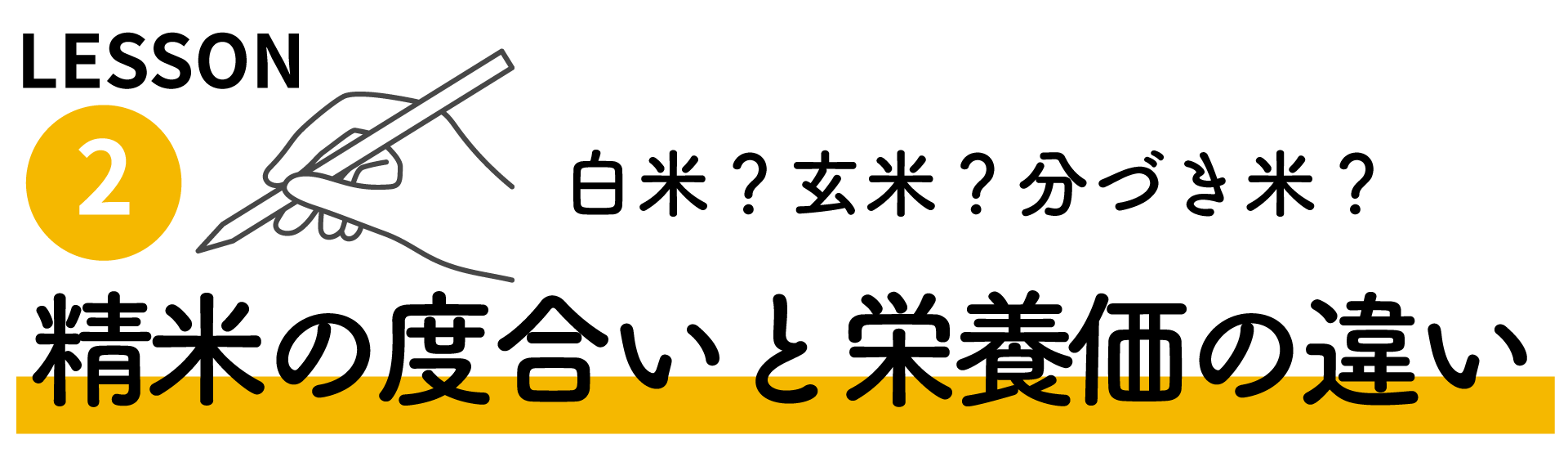 LESSON 2 白米？玄米？分づき米？精米の度合いと米の栄養価の違い