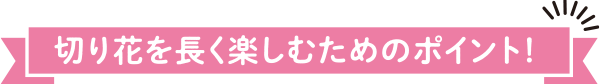 切り花を長く楽しむためのポイント！