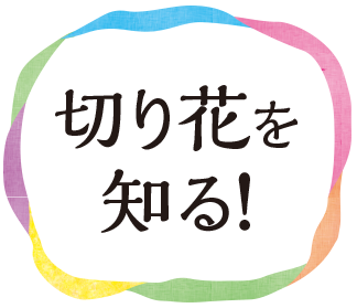 切り花を知る!