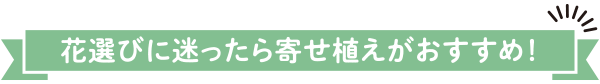 花選びに迷ったら寄せ植えがおすすめ！