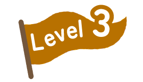 Level 3