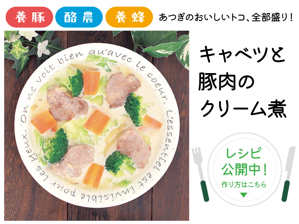 キャベツと豚肉のクリーム煮