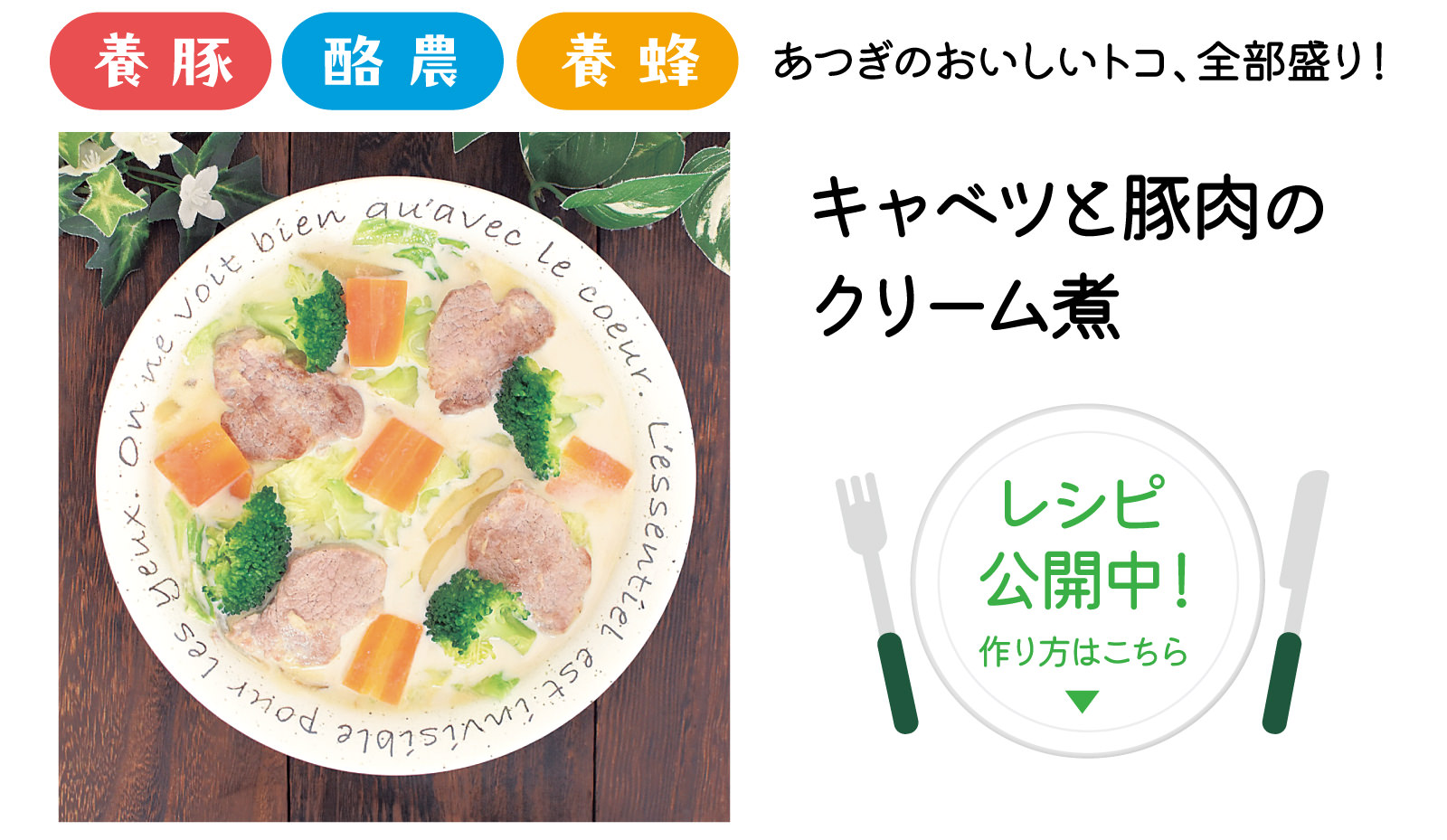 キャベツと豚肉のクリーム煮