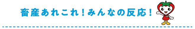 畜産あれこれ！みんなの反応！
