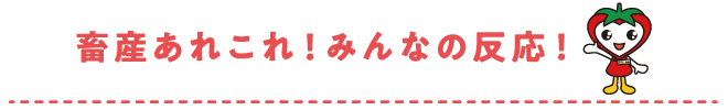 畜産あれこれ！みんなの反応！