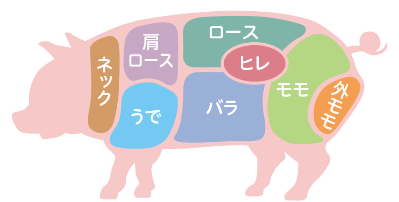 部位のイラスト