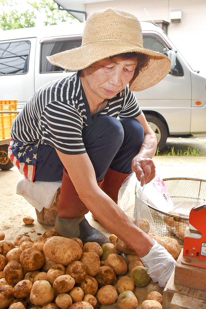 ジャガイモの袋詰めを行う牧田さんの写真