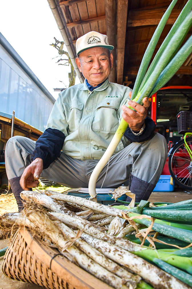 ネギの荷造りを行う山口さんの写真