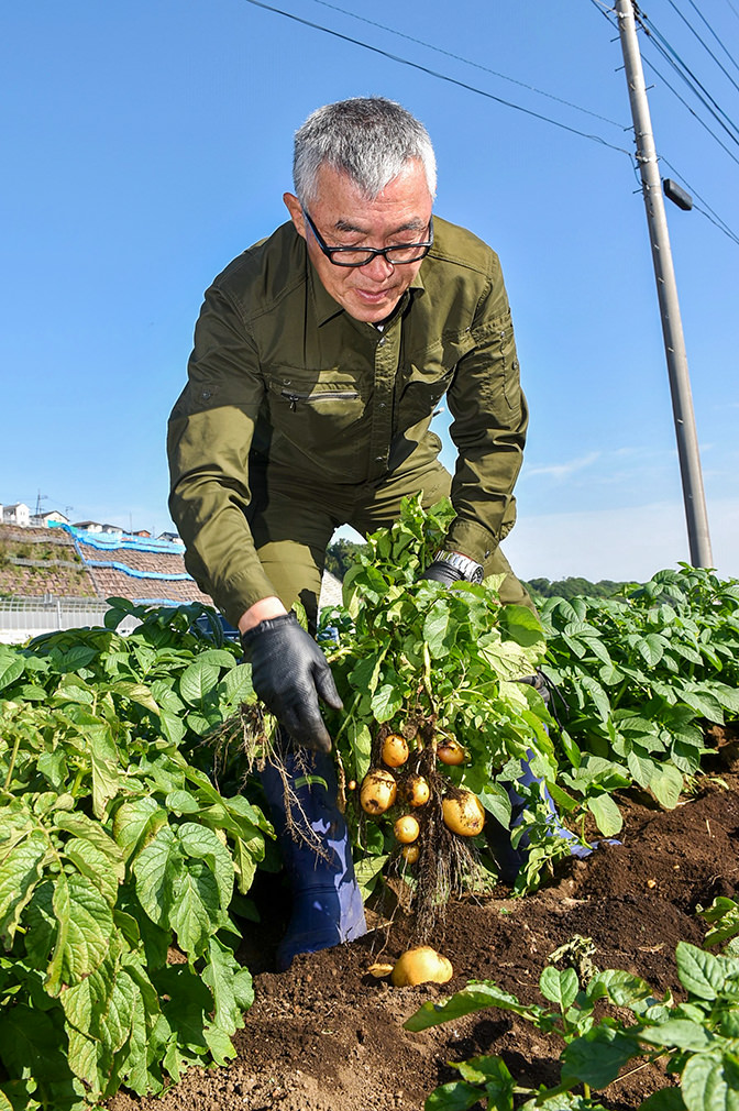 ジャガイモを収穫する野路さんの写真
