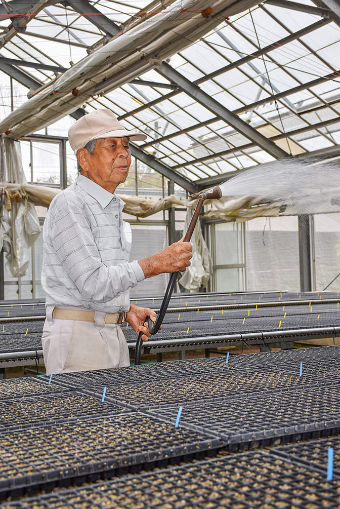 播種後のかん水作業を行う佐々木さんの写真