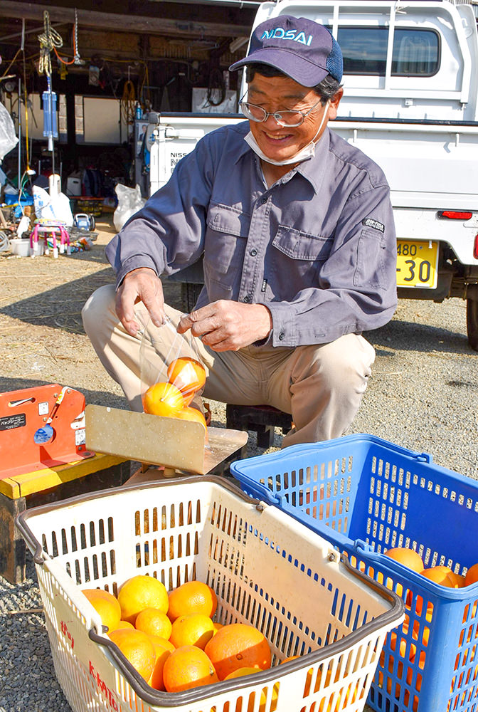 収穫したミカンの袋詰めを行う加藤さんの写真