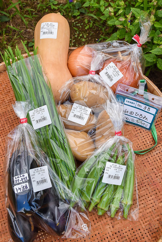 新鮮な野菜を道の駅「清川」に出荷の写真