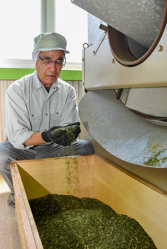 清川茶の仕上がりを確認する山口さんの写真