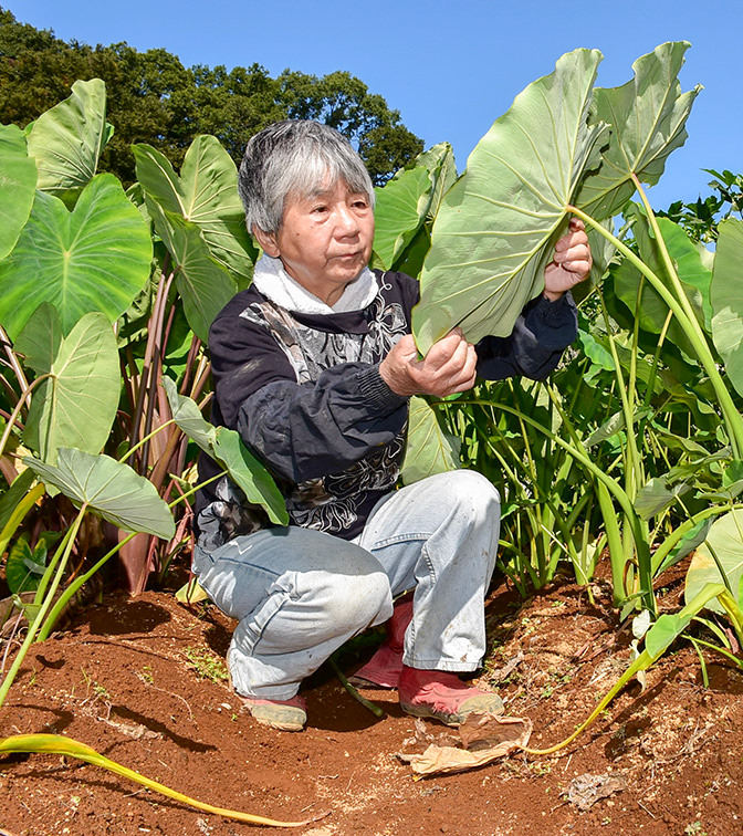 生産者の写真