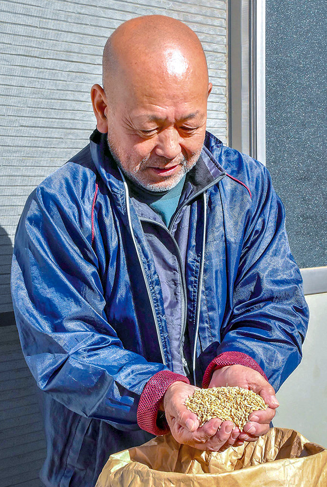 種もみの状態を確認する萩原さんの写真