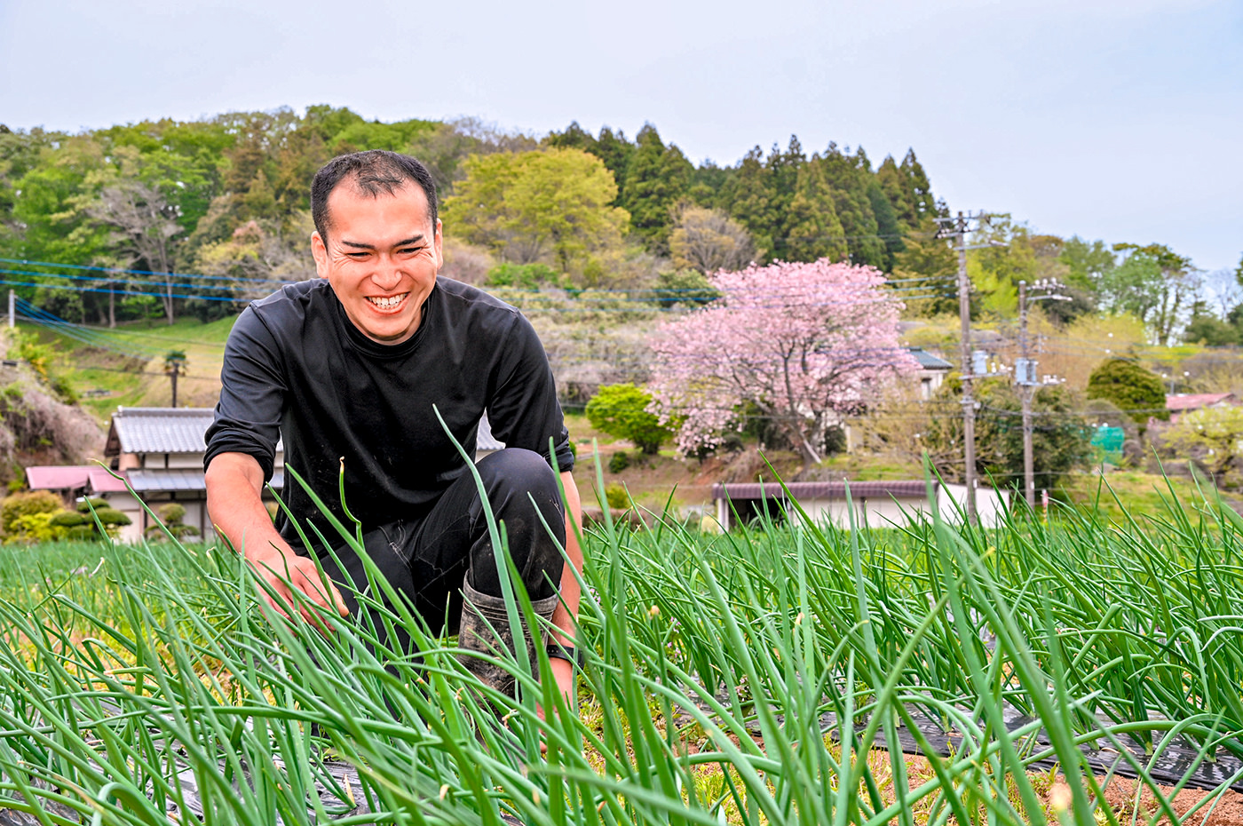 夏野菜の定植準備を進める飯島さん