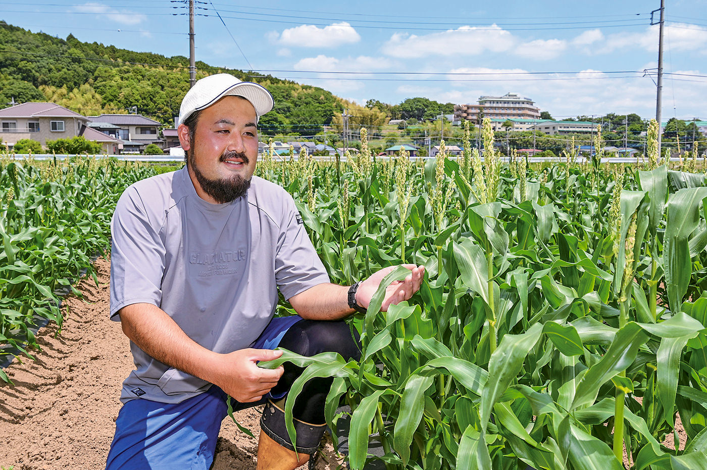 トウモロコシ畑で作業する宮下さん