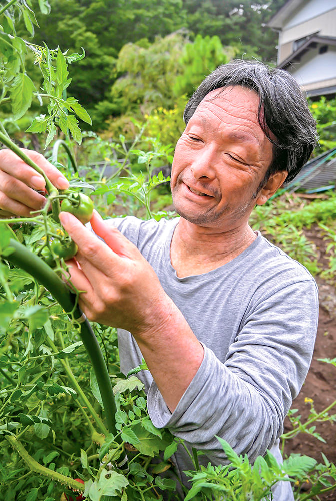 ミニトマトの生育状況を確認する城所さん