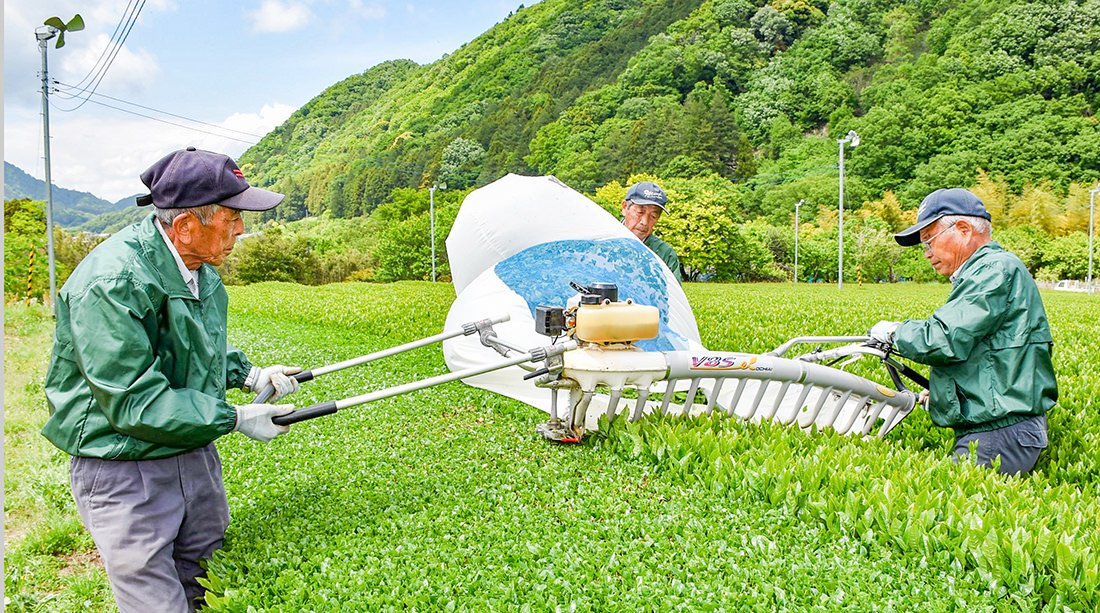 生産者の写真