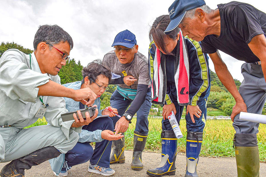 水稲現地検討会の様子