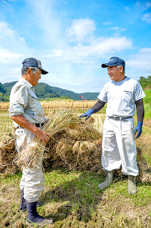 あつぎの米生産者の写真