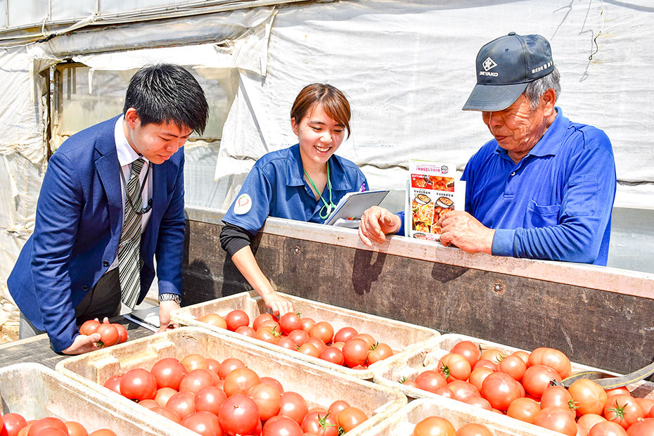 惣菜業者がトマトを確認している様子の写真