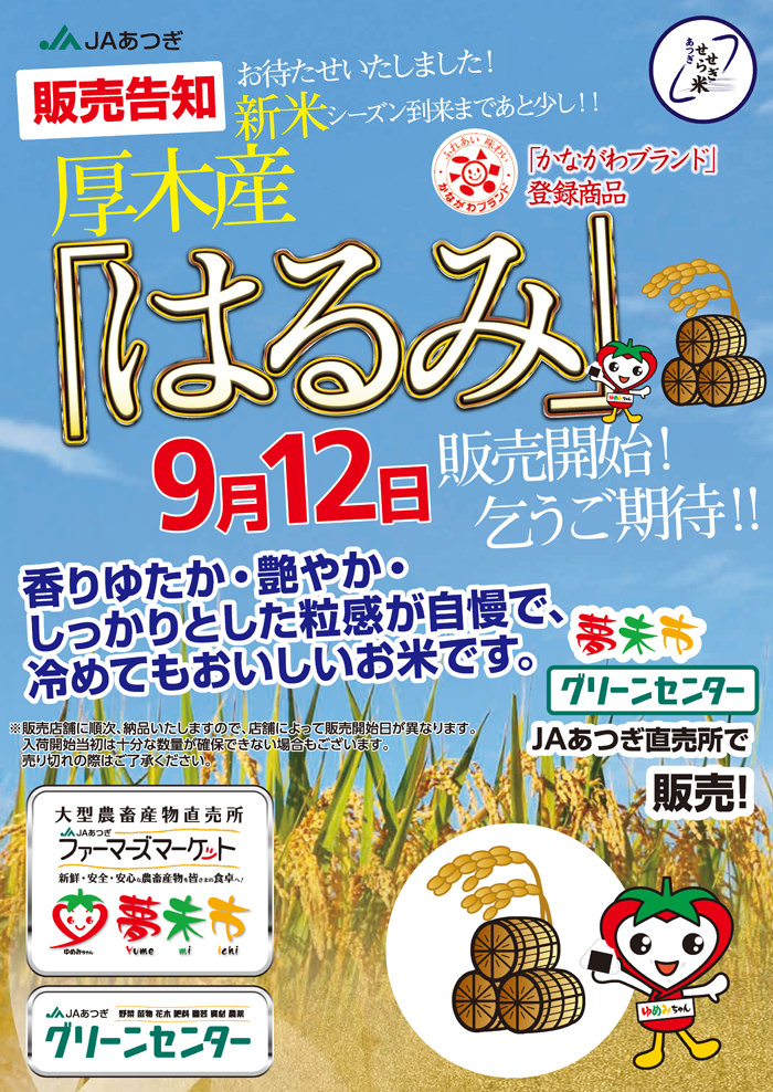 新米厚木産「はるみ」販売開始！