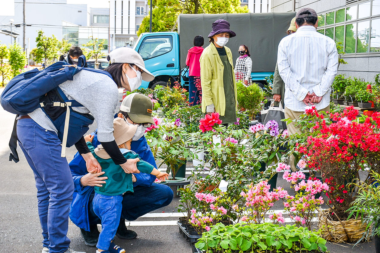 種類豊富な植木や花も並ぶ会場内の写真