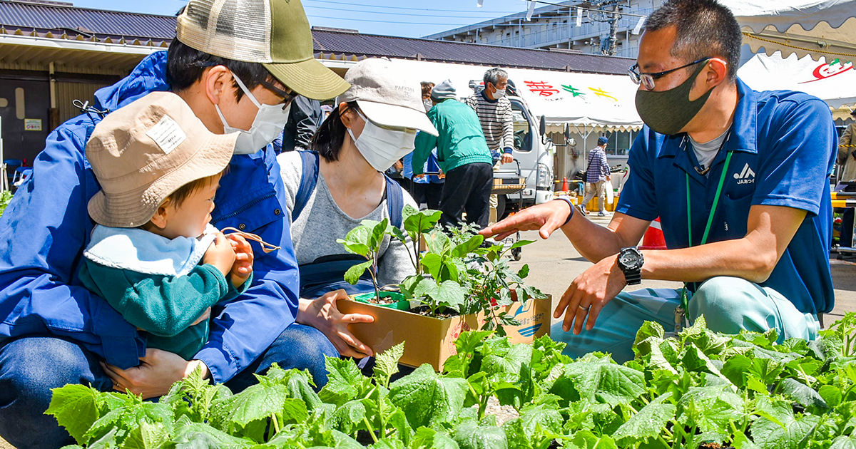 新鮮な野菜苗を地域にお届け | トピックス | JAあつぎ