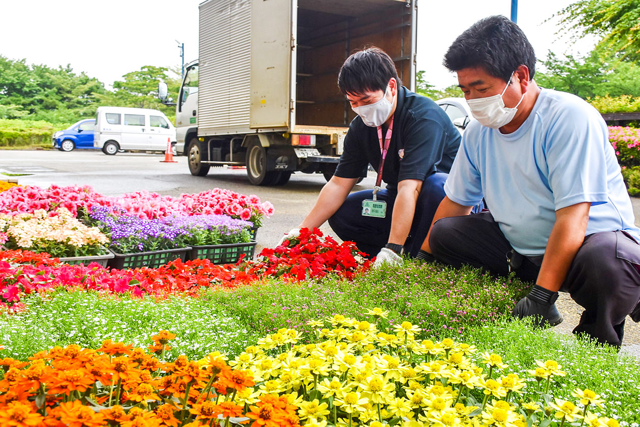 色とりどりの地場産花きを搬入する部会員と同市職員の写真