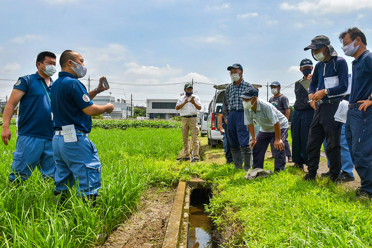 JA職員とともに稲の生育状況を確認する参加者の写真
