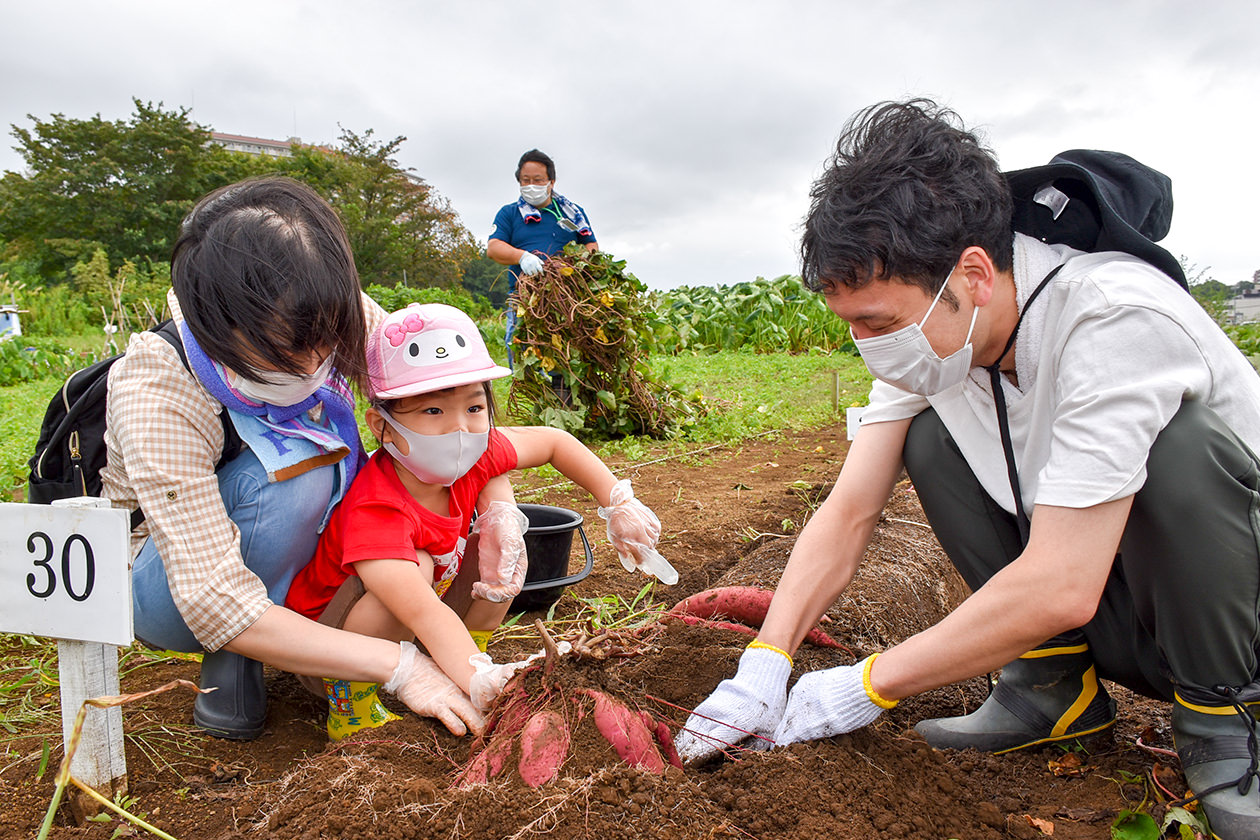 JA職員とともにサツマイモを収穫する参加者の写真