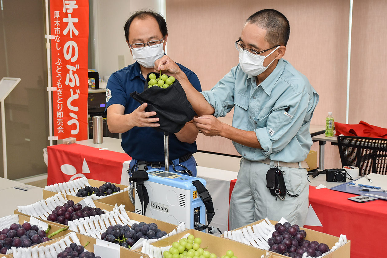 出品されたブドウの糖度を検査の写真