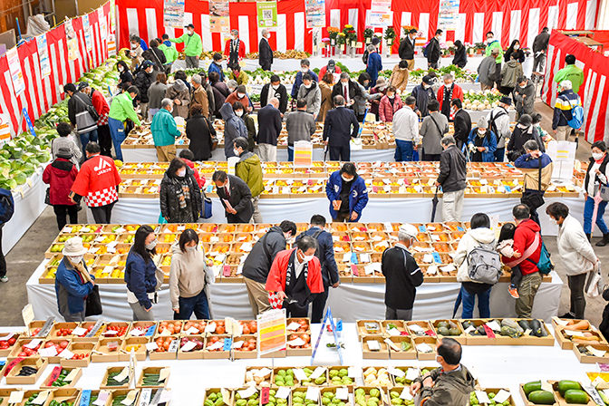 多くの地場農産物が並んだ農産物品評会会場の写真