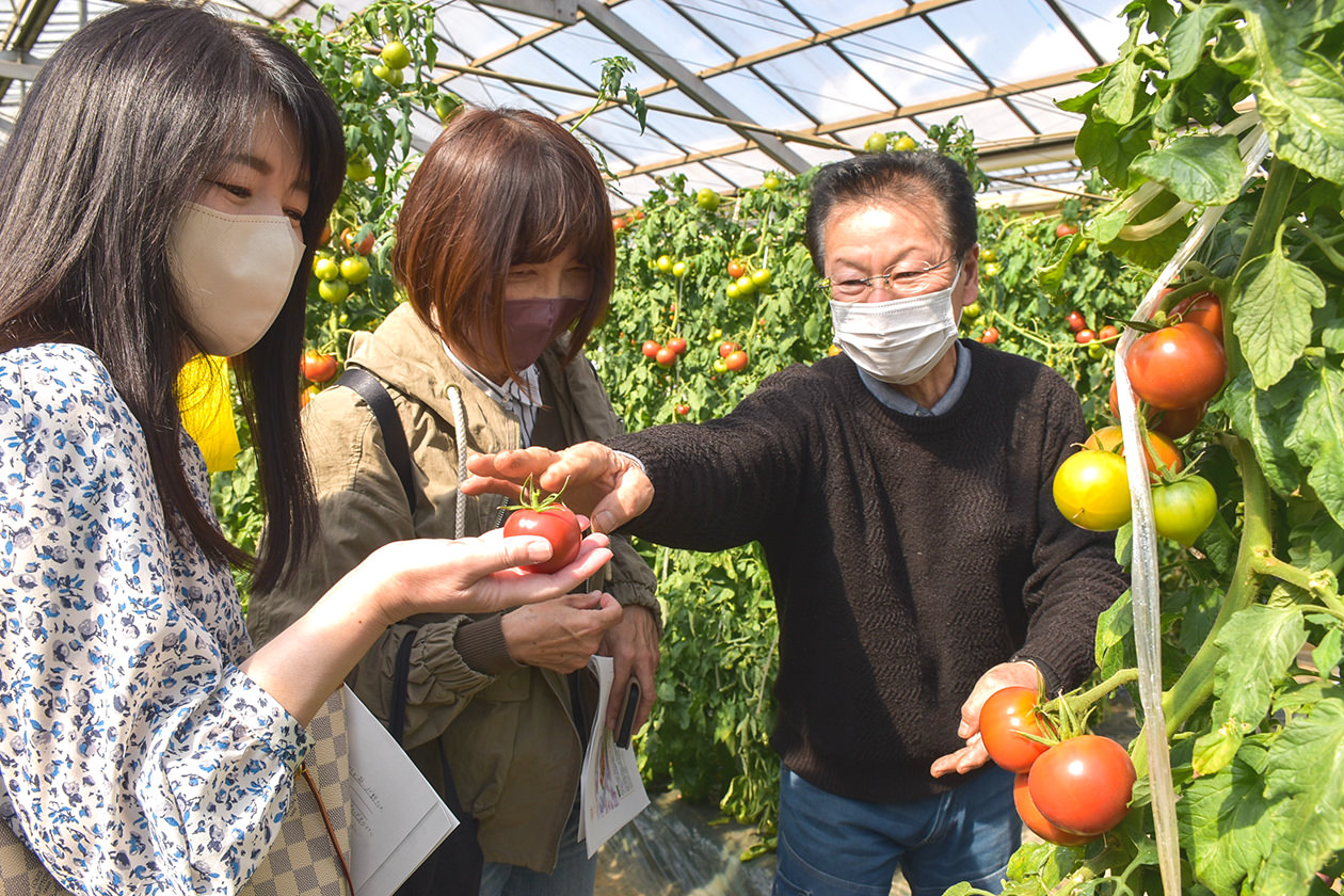生産者から「厚木トマト」の栽培方法を学ぶコンダクターの写真