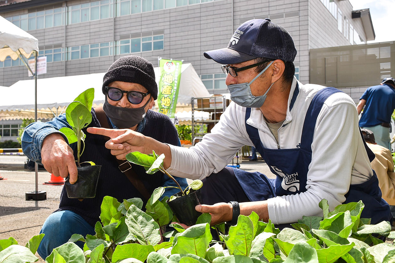 来場者に野菜苗の説明を行う部会員の写真