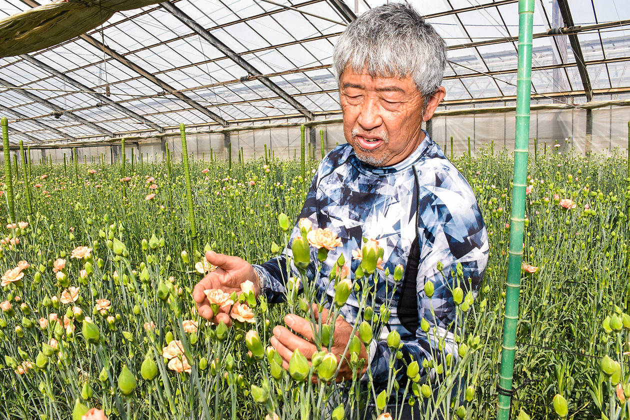 生育を確認する杉山さんの写真