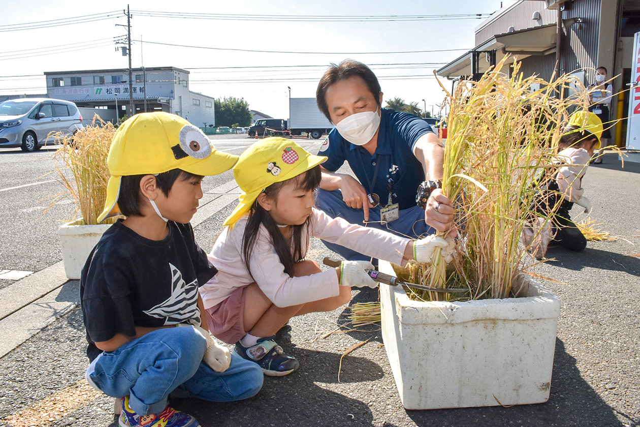 10月27日 相川地区 水稲栽培体験教室の写真