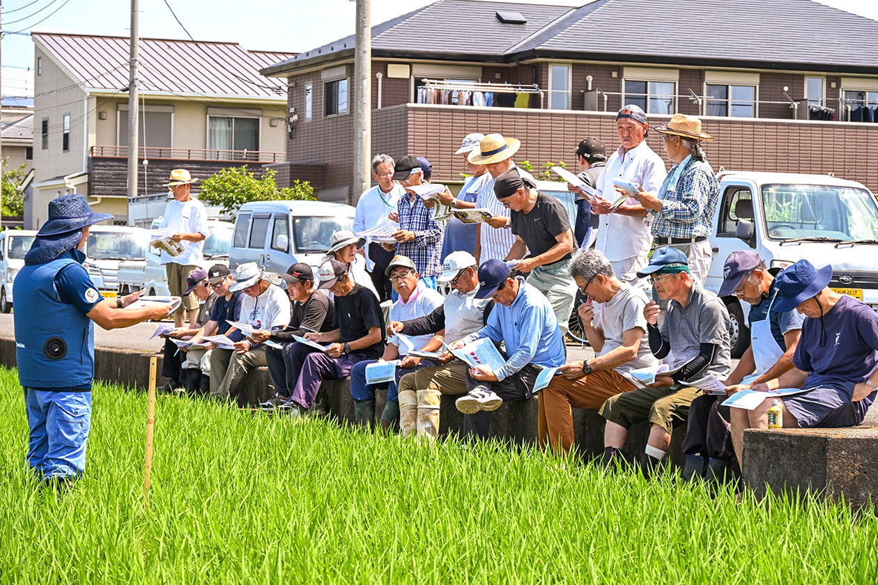 生育状況を確認しながらポイントを学ぶ参加者