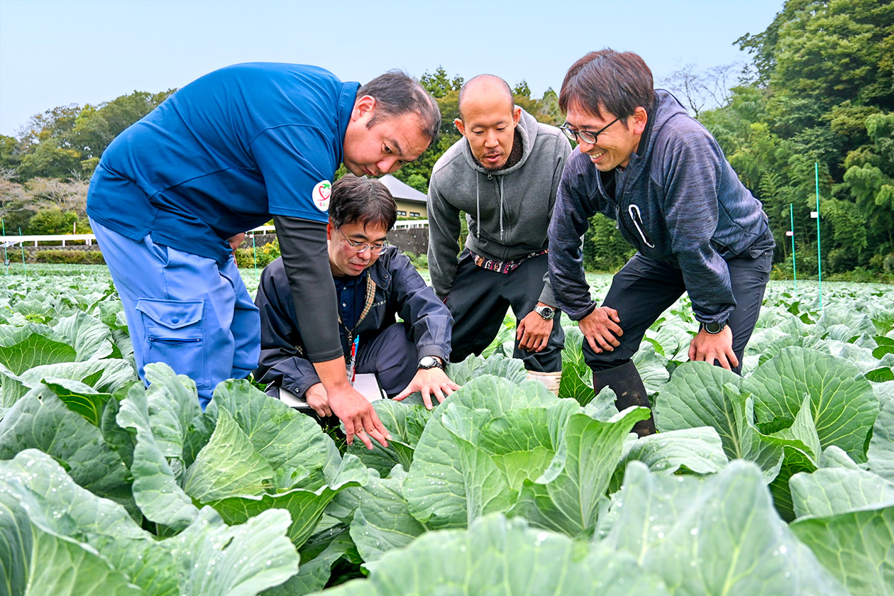 出荷前に生育状況を確認する組合員とJA職員らの写真