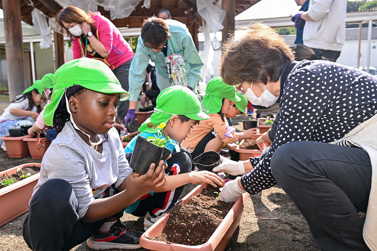 委員と一緒にビオラの定植を行う園児らの写真