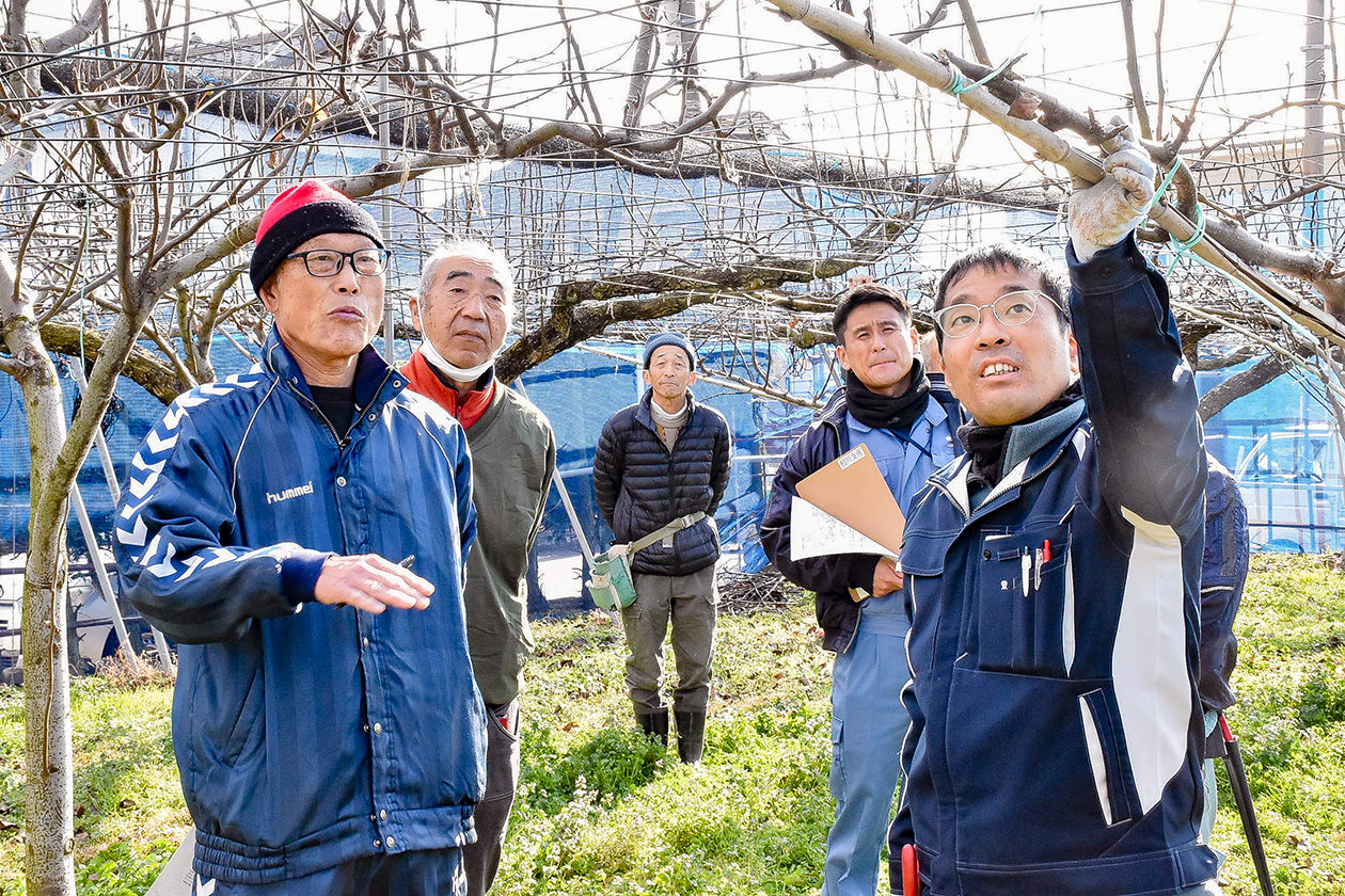 剪定のポイントを伝える講師（右）の写真
