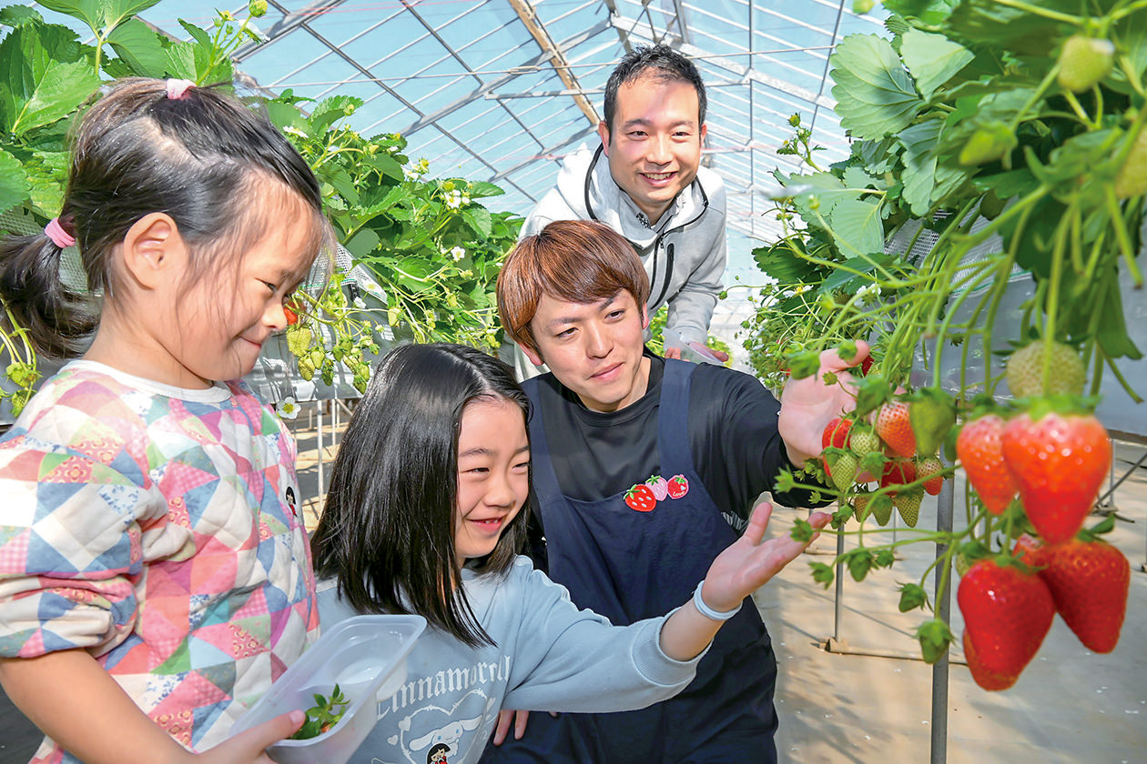 イチゴ狩りを楽しむ親子に説明を行う生産者の写真