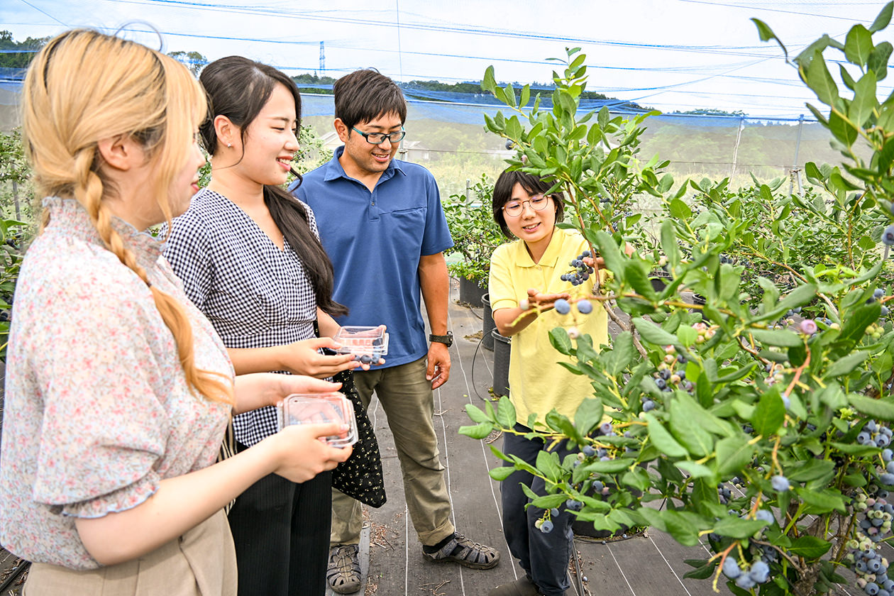 生産者から栽培方法や品種の特徴を学ぶ学生らの写真