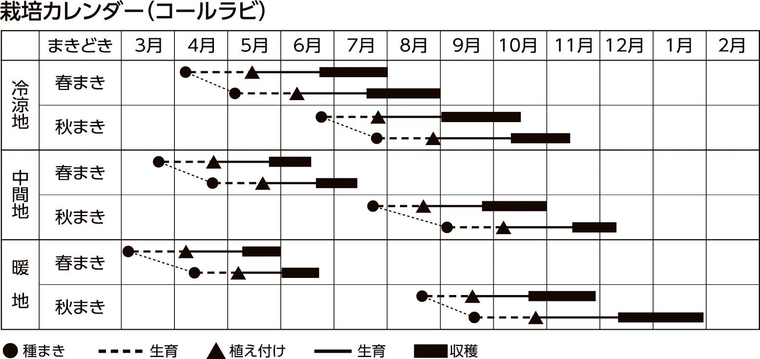 栽培カレンダー(抑制キュウリ)